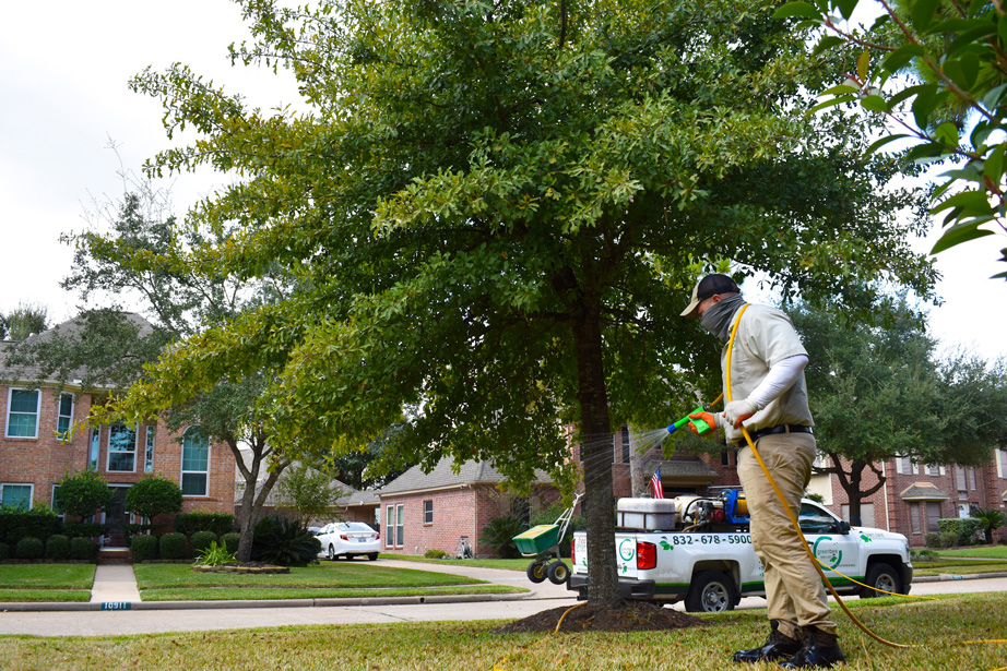 Lawn care services worker at work on a residential lawn