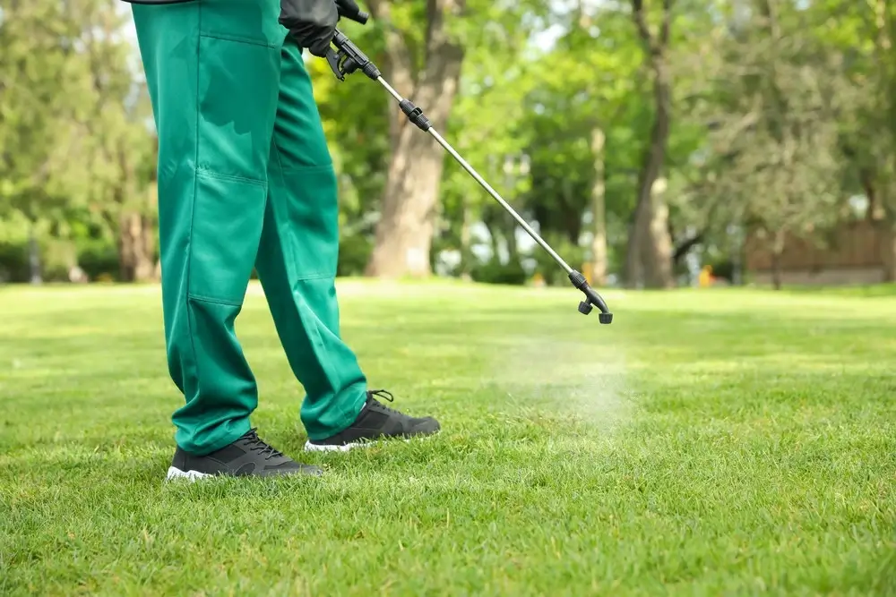 how much does lawn care usually cost